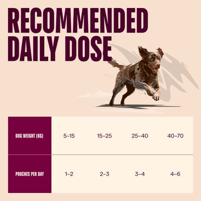 Carnilove Dog in Paté Pouches 4 x 300 g