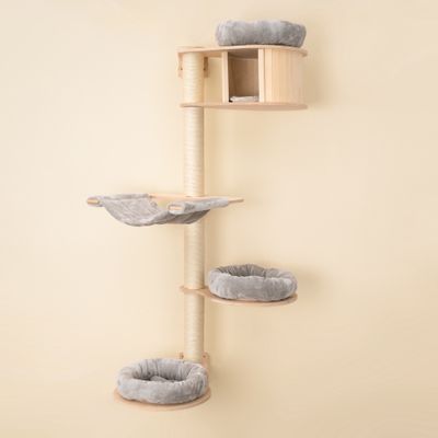 Natural Paradise Wandkratzbaum Magnolia