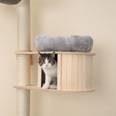 Natural Paradise Wandkrabpaal Magnolia