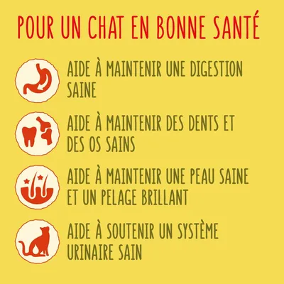 Pour un chat en bonne santé : aide à maintenir une digestion saine, des dents et os sains, une peau saine et pelage brillant, soutient un système urinaire sain.