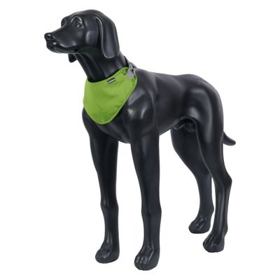 Icepeak Pet Cooling Dog Bandana – Green