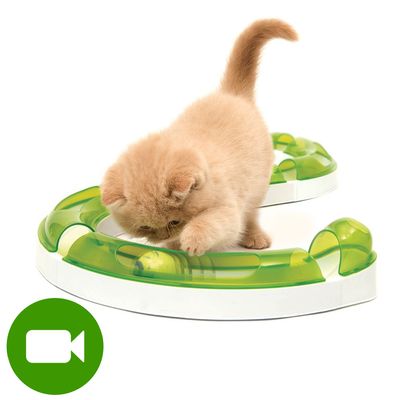 Jasny kotek bawi się w okrągłym torze z zielonego i białego plastiku z kulką w środku. Ikona kamery w lewym dolnym rogu oznacza dostępność filmu produktu.