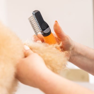 WAHL® kartáč na odstraňování plstnaté srsti