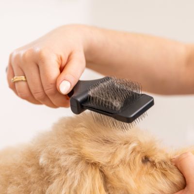 Spazzola doppia WAHL® Premium a setole flessibili