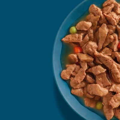 Perfect Fit Adult 1+ Pouches Mixed Pack Chunks in Gravy