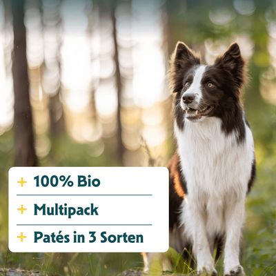 Multipack Yarrah Bio Wellness Paté 24 x 150 g