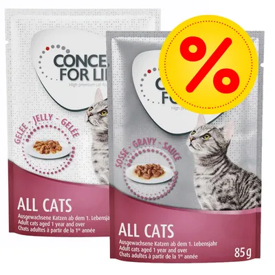 Wet food pouches for all adult cats aged 1 year and over, available in jelly or gravy, 85g each. Large yellow percentage discount symbol shown.