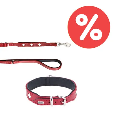 Rotes Hundehalsband und Leine mit weißen Kreuzmotiven. Rabatt-Symbol in Rot mit weißem Prozentzeichen.