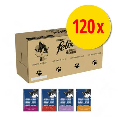 Carton Purina Felix 120x sachets, variétés en gelée : canard, bœuf, agneau, poulet. Quatre sachets individuels visibles avec étiquettes multilingues. Carton Purina Felix 120x sachets, variétés en gelée : canard, bœuf, agneau, poulet. Quatre sachets individuels visibles avec étiquettes multilingues.