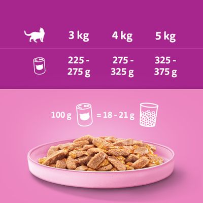 Megapakiet Whiskas Adult, puszki, 24 x 400 g - Pakiet mieszany 1