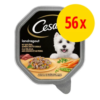 Cesar landragout à la volaille, aux légumes et au persil, lot de 56 barquettes. Texte visible : élaboré avec des ingrédients naturels.