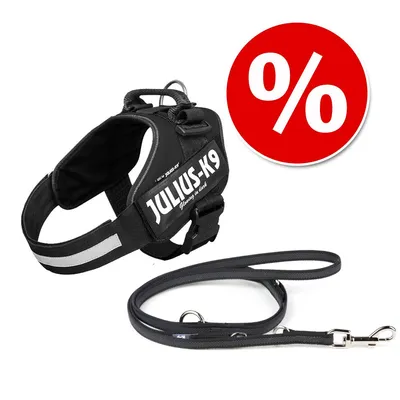Julius-K9 Hundegeschirr mit reflektierenden Streifen und passender Leine. Rotes Prozent-Symbol für Rabattaktion sichtbar.