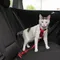 Cinturón de seguridad Trixie para gatos Rojo