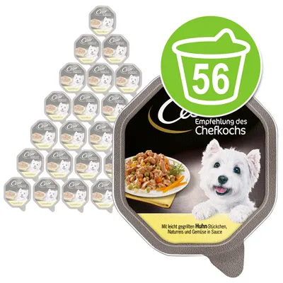 Cesar Empfehlung des Chefkochs. Med letgrillede kyllingestykker, naturris og grøntsager i sauce. Pakke med 56 portioner.