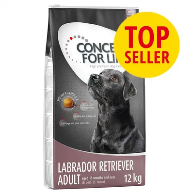 CONCEPT FOR LIFE Labrador Retriever Adult 12 kg, TOP SELLER, special formula med ideal weight maintenance, healthy skin & shiny coat, cartilage and joint protection. Til hunde fra 15 måneder.