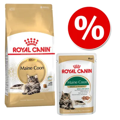 Royal Canin Maine Coon Adult karma dla kotów, opakowanie suchej karmy i saszetka 85 g. Widoczny znak procentowy na czerwonym tle, sugerujący promocję.