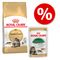 Zestaw Royal Canin Breed, 4 kg + 12 x 85 g karmy mokrej Royal Canin Maine Coon Adult + Breed Maine Coon, 12 x 85 g