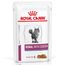 Royal Canin Veterinary Feline Renal in Soße Huhn (24 x 85 g)