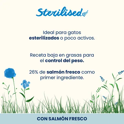 Almo Nature Functional Sterilised salmón y arroz - 2 kg