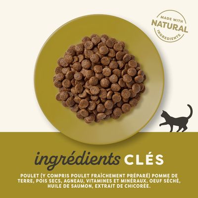 Applaws Chicken with Lamb Adult Cat, croquettes pour chat adulte, 80 % protéines animales minimum, sans céréales, ingrédients naturels, 2 kg, texte en anglais sur l'emballage.