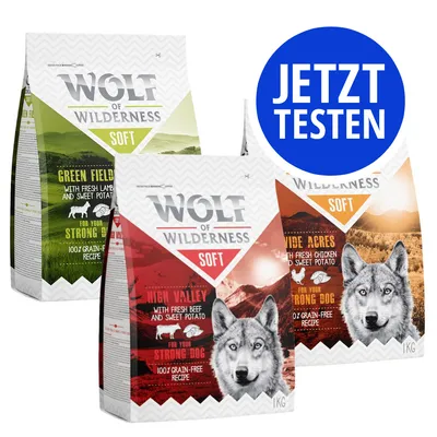 Drei Packungen Wolf of Wilderness Soft Trockenfutter: Green Fields mit Lamm, High Valley mit Rind, Wide Acres mit Huhn. Blauer Kreis mit Text: JETZT TESTEN.