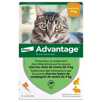 Advantage® 40 pour chat < 4 kg - 4 mois de protection (4 pipettes)