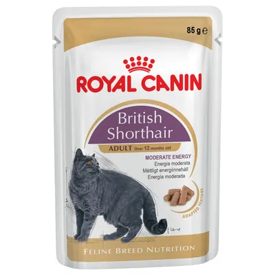 Royal Canin British Shorthair Adult, 85 g, mokra hrana za mačke, moderate energy, adapted texture. Slika britanske kratkodlake mačke i komadića hrane na pakiranju.