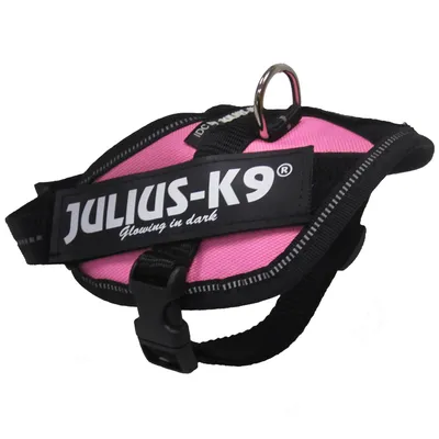 Szelki dla psa Julius-K9 z widocznym napisem „JULIUS-K9 Glowing in dark”, różowy materiał, czarne paski i metalowe kółko do przypięcia smyczy.