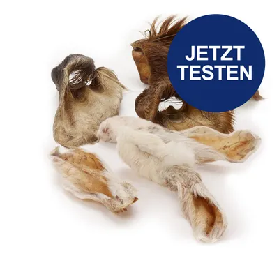 Getrocknete Tierohren als Kauartikel. Blauer Kreis mit Text 'Jetzt testen'.
