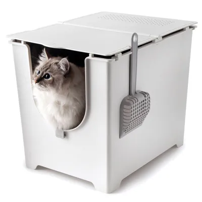 Witte kattenbak van kunststof met open voorkant, grijze schep aan de zijkant bevestigd en een kat die binnen zit. Bovenkant met ventilatiegaten zichtbaar.