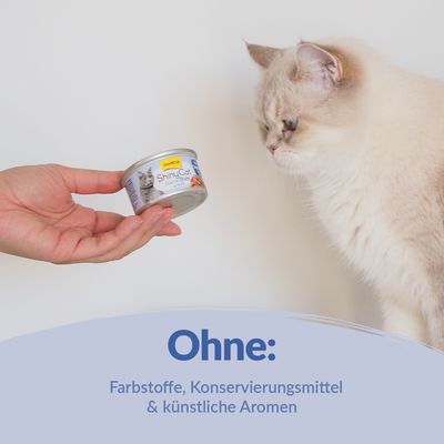 Lot GimCat ShinyCat en gelée 12 x 70 g pour chat