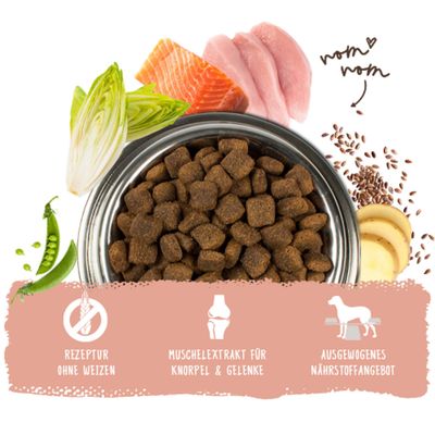 Schüssel mit Trockenfutter, umgeben von Erbsen, Lachs, Geflügel, Chicorée, Kartoffeln und Leinsamen. Symbole: Rezeptur ohne Weizen, Muschelextrakt für Knorpel & Gelenke, ausgewogenes Nährstoffangebot.