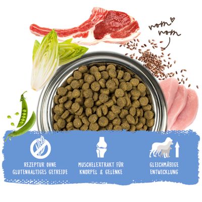 Futternapf mit Trockenfutter, Fleisch, Erbsen, Leinsamen und Chicorée. Text: Rezeptur ohne glutenhaltiges Getreide, Muschelextrakt für Knorpel & Gelenke, gleichmäßige Entwicklung.
