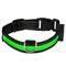 Collar luminoso LED Eyenimal para perros Talla S: 40 - 45 cm perímetro del cuello, 25 mm de ancho (verde)