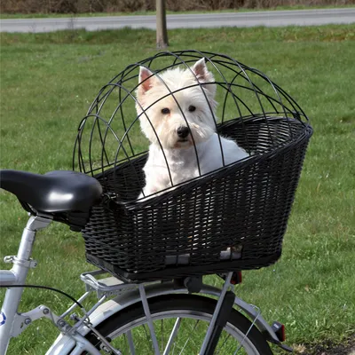 Fietsenmand van zwart vlechtwerk met metalen roosterafdekking, gemonteerd op een bagagedrager.