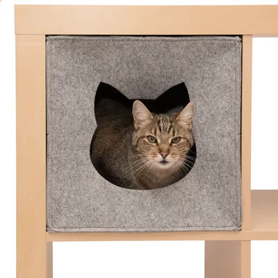 Caja de fieltro gris con recorte de cabeza de gato, integrada en una estantería de madera. Un gato atigrado está dentro y mira hacia fuera.