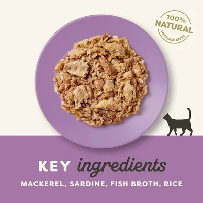 Glavni sastojci: mackerel, sardine, fish broth, rice. 100% natural ingredients. Prikaz hrane za mačke na ljubičastom tanjuru.