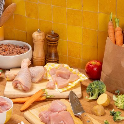 Pooch and Mutt Wet Dog Food - Turkey & Chicken