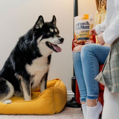 Pooch & Mutt Peanut Butter Dental Sticks - 251g