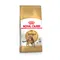 Royal Canin Bengal Adult - cat dry food 2kg