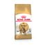 Royal Canin Bengal Adult - Kattenvoer Dubbelpak: 2 x 10 kg