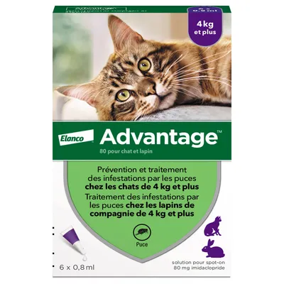 Advantage® 80 pour chat > 4 kg - 6 mois de protection (6 pipettes)