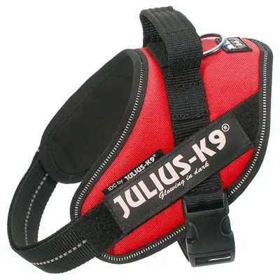 JULIUS-K9 -valjaat, punainen. Teksti: IDC by JULIUS-K9®, Glowing in dark. Metallinen kiinnityslenkki ja muovinen solki näkyvissä.