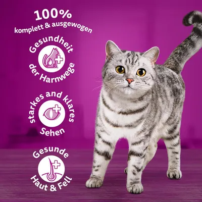 100 % täysravinto ja tasapainoinen. Virtsateiden terveys, hyvä ja kirkas näkö, terve iho ja turkki. Kissa violetilla taustalla.