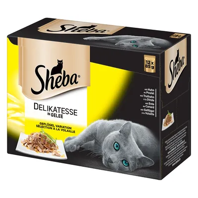 Sheba Delikatesse in Gelee, 12 x 85 g. Wariant drobiowy. Na opakowaniu widoczny szary kot i miska z kawałkami mięsa w galarecie. Widoczne teksty w języku niemieckim i francuskim.