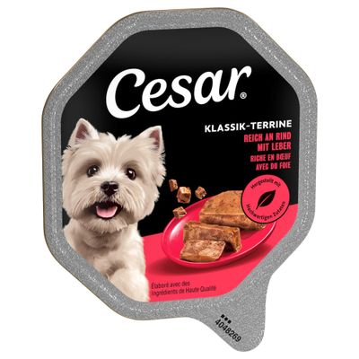 Frau streichelt einen kleinen weißen Hund, der aus einem Napf frisst, in einer Küche.