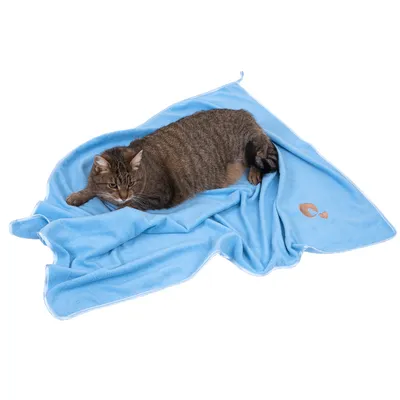 Brunstribet kat ligger på et lyseblåt tæppe med broderet hjerte- og pote-motiv i hjørnet.