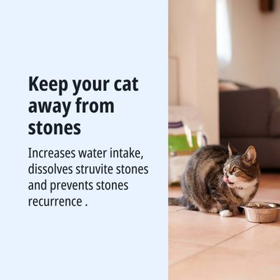Increases water intake, dissolves struvite stones and prevents the recurrence of stones in cats.