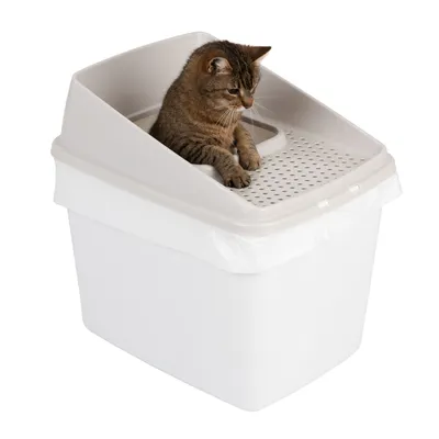Chat assis dans une litière pour chat à entrée par le dessus, bac blanc avec couvercle beige perforé en plastique. Sac plastique visible autour du bac.