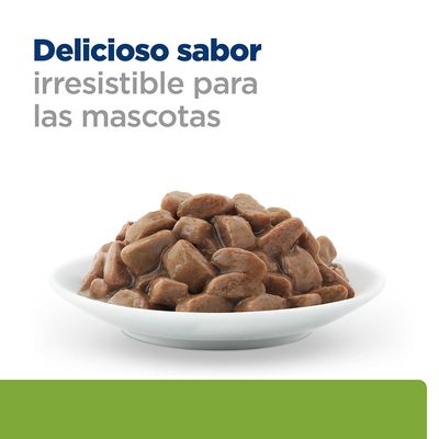 Plato con trozos de comida húmeda para mascotas en salsa. Texto visible: Delicioso sabor irresistible para las mascotas.